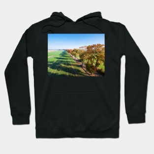 Alley of autumn trees among green fields in countryside Hoodie